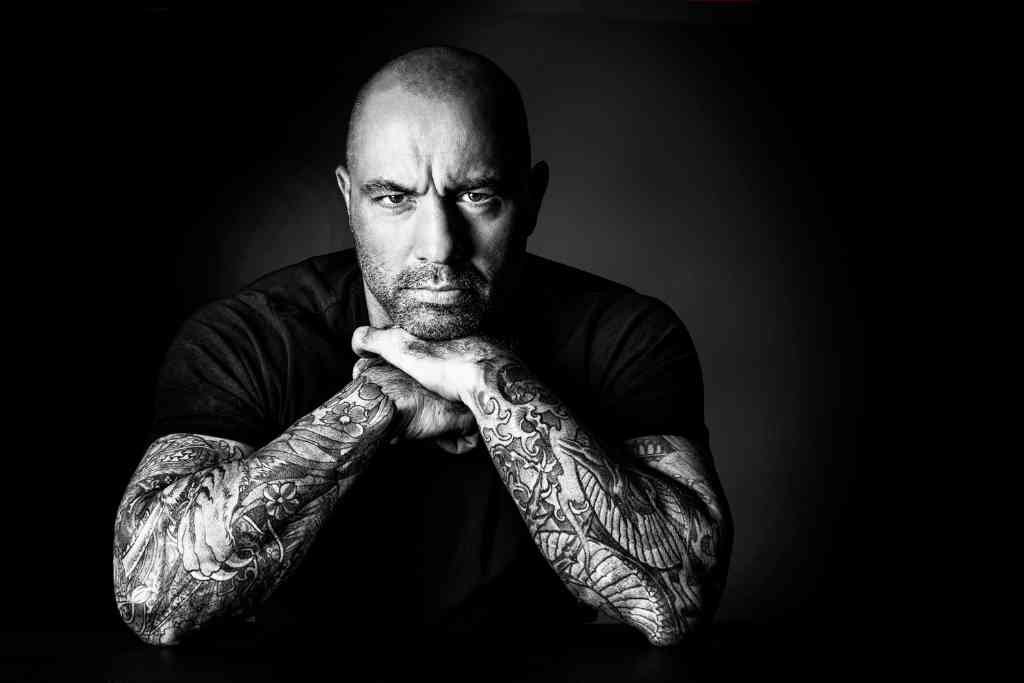 joe rogan